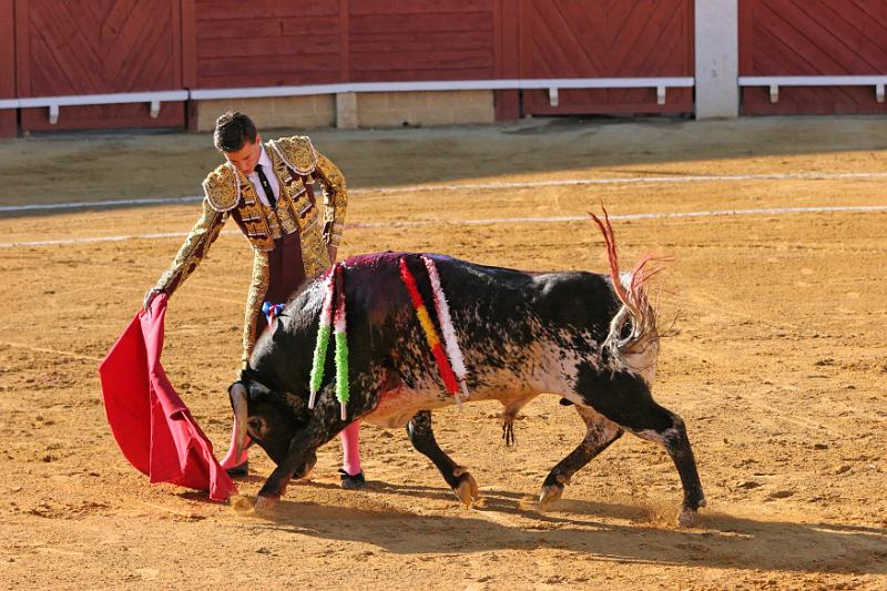 Toros 058.jpg